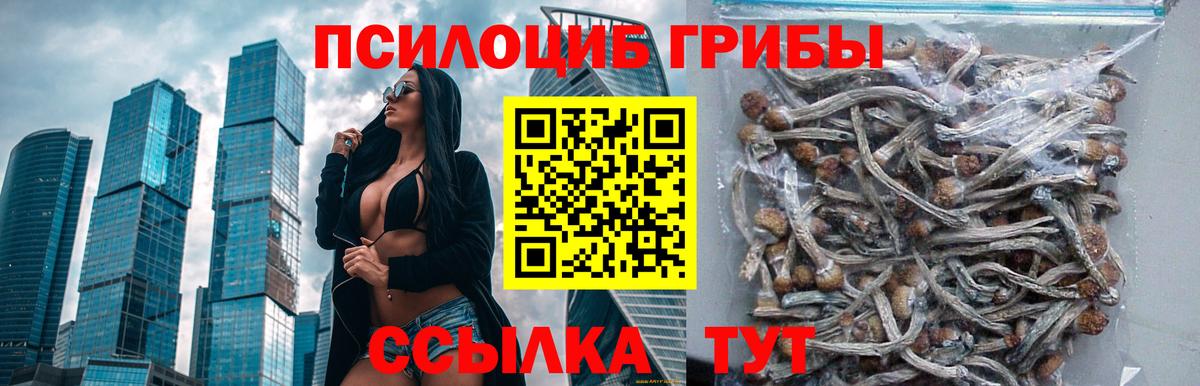 Галлюциногенные грибы ЛСД  наркота  Шелехов  Вход с VPN 